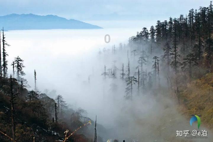 国医大师周信有，精研《内经》，研制出肝炎和冠心病中药新药