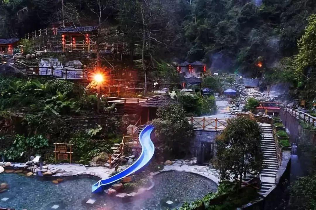 动物帮帮忙保卫家园