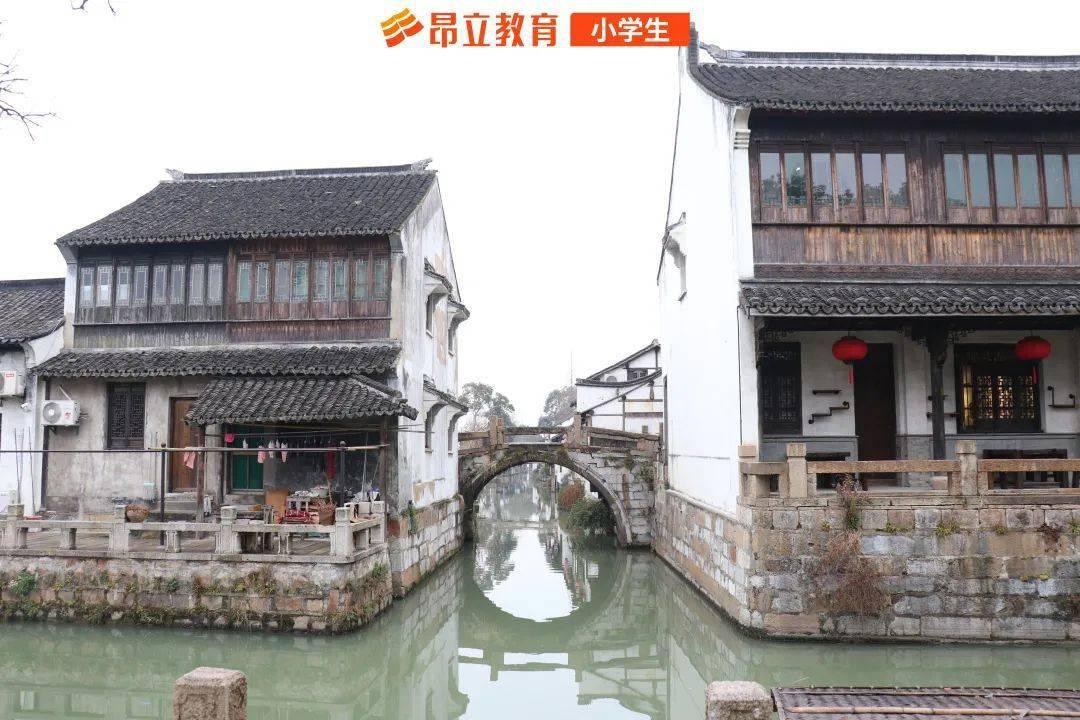 贝母兰一年开几次花？游戏画面