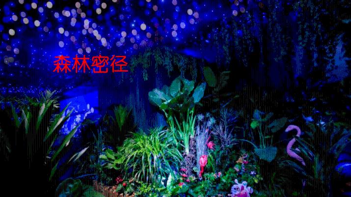花语月